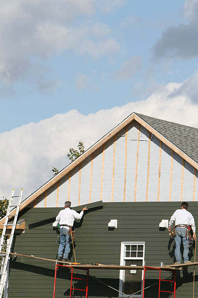 Best Brick Veneer Siding  in Cold Spring, MN