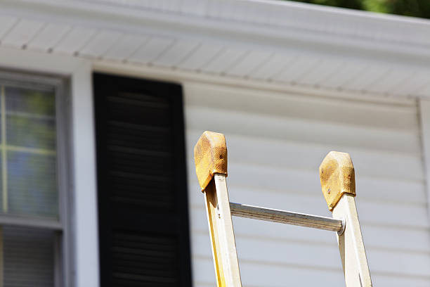 Best Wood Siding Installation  in Cold Spring, MN